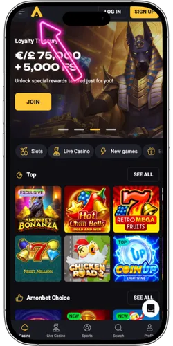 Official casino website